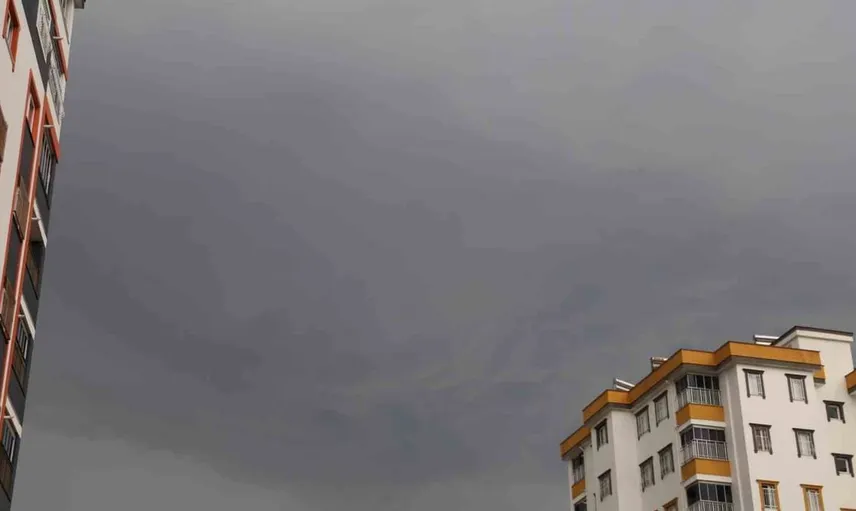 Adana'nın tarlasını beyaza bürüyen dolu yağışı kısa sürede etkili oldu