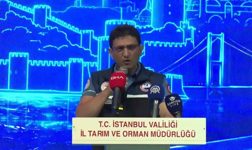 İstanbul’da 2026-2027 balıkçılık sezonu başladı