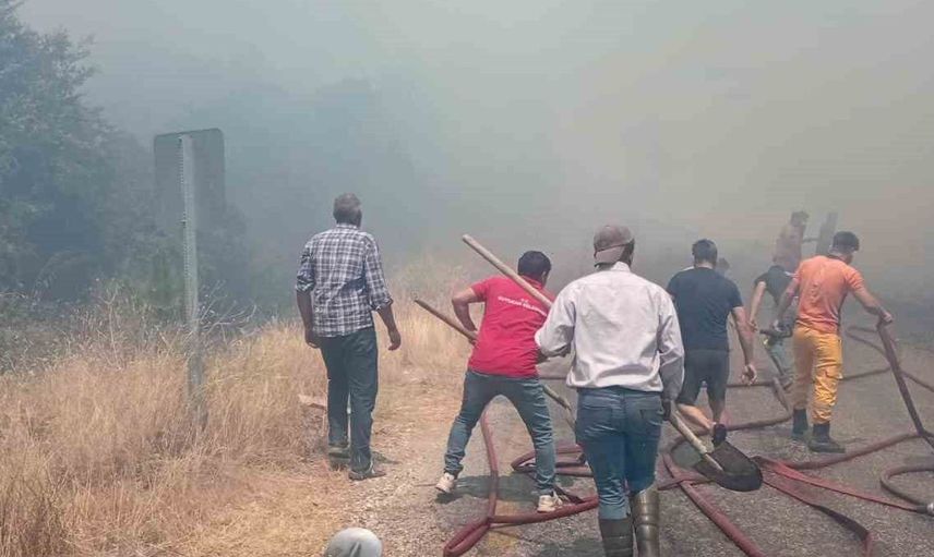 Kuyucak’ta ziraat alanındaki yangın ormana ulaşmadan kontrol altına alındı