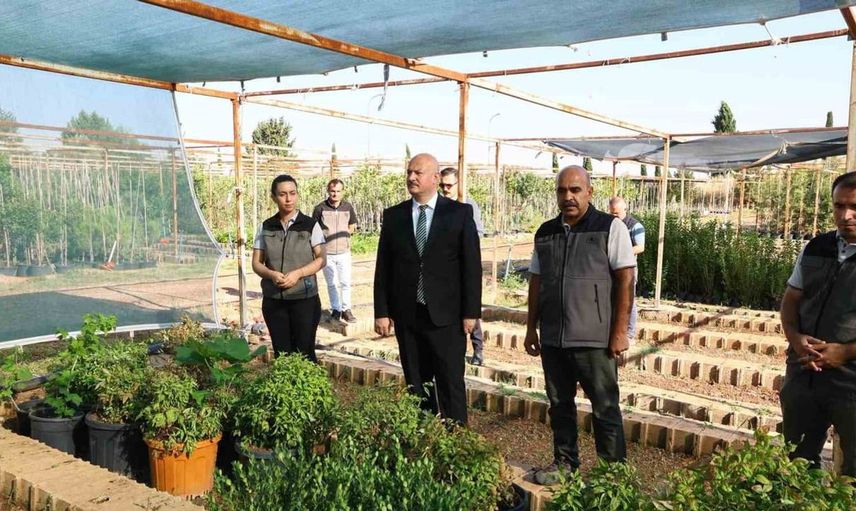 Vali Küçük, orman fidanlık müdürlüğü’nde incelemelerde bulundu