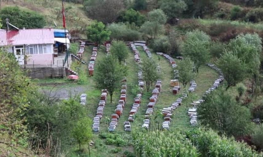 Sporcu ve arıcı Alim Eser'den organik bal üretimiyle sağlıklı yaşam önerisi