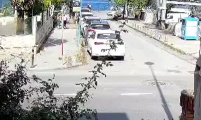 Sarıyer'de başıboş köpekler nedeniyle endişe büyüyor
