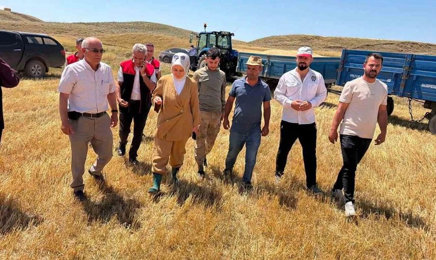 Taşlıçay Kaymakamı Kübra Baka Kılıç, hasat sezonunda çiftçilerle buluştu