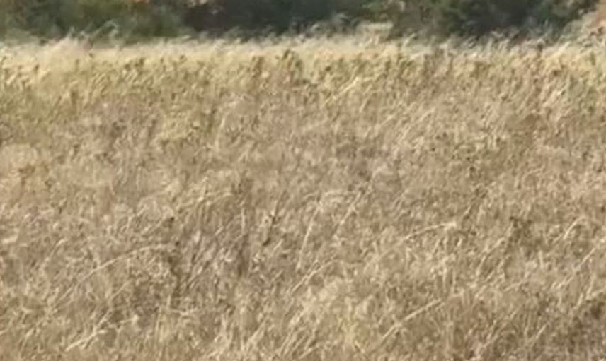 Bursa’nın Mudanya ilçesindeki tavuk çiftliğinde yangın kontrol altına alındı