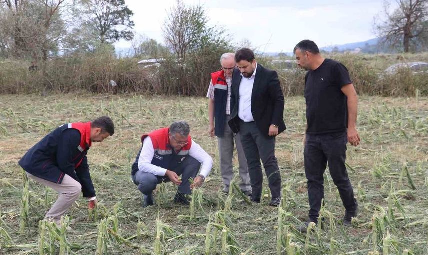 Samsun'da dolu felaketi tarım arazilerini olumsuz etkiledi