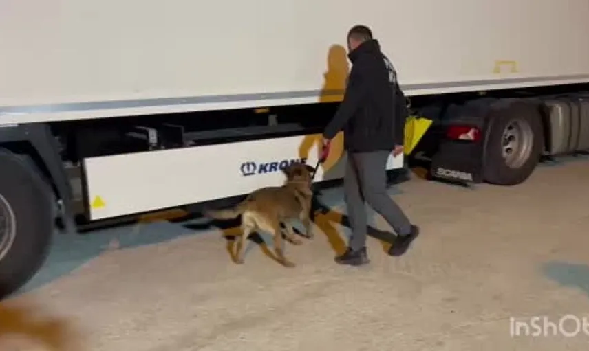 Havza'da uyuşturucu araması: Narkotik köpeği Pera ile 456 gram metamfetamin ele geçirildi