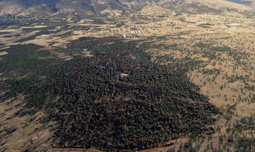 Çivril'deki orman yangını 100 dönüm arazide hasara yol açtı