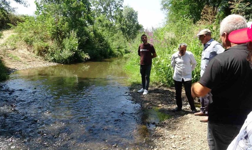 Samsun'da derede toplu balık ölümleri: Mahalleli kalıcı çözüm istiyor