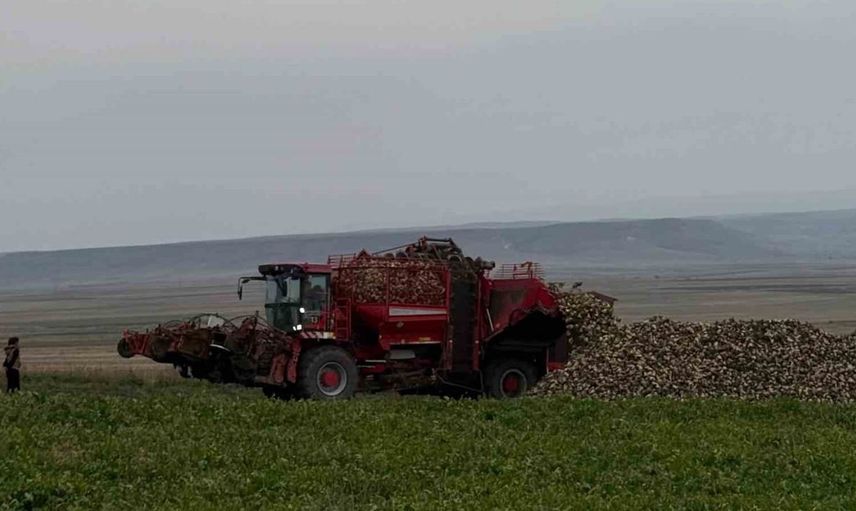 Akyaka Kaymakamı Demirtaş, şeker pancarı hasadına destek verdi