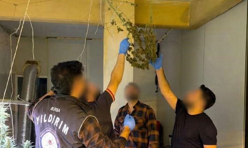 Bursa'da kasap dükkanında uyuşturucu serası kurulumu deşifre edildi