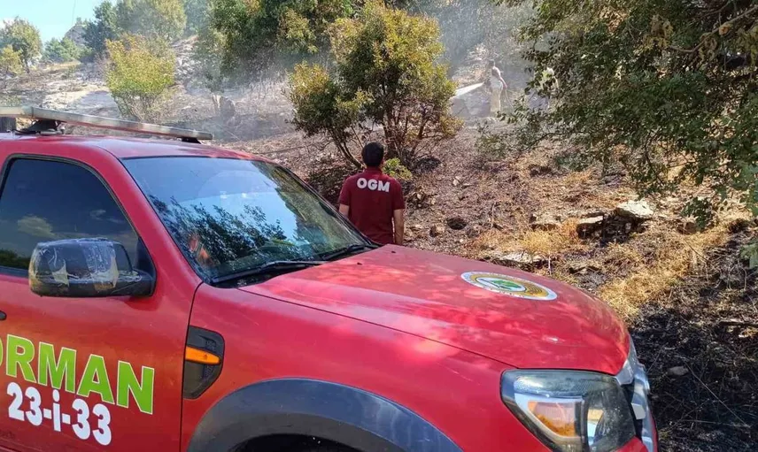 Bingöl'de iki ayrı noktada çıkan yangınlar kontrol altına alındı