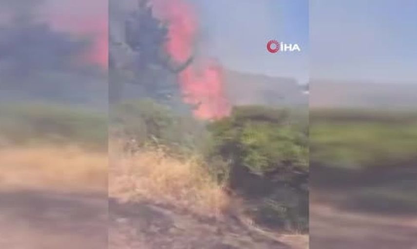 Bursa'nın gemlik ilçesindeki orman yangını 5 saatte kontrol altına alındı