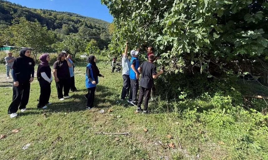 Gençler tarladan sofraya hasat heyecanını yaşadı