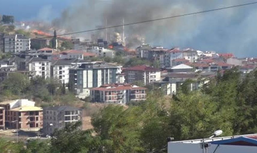Yangından kurtarılan kaplumbağaya duyarlı bir vatandaş sahip çıktı
