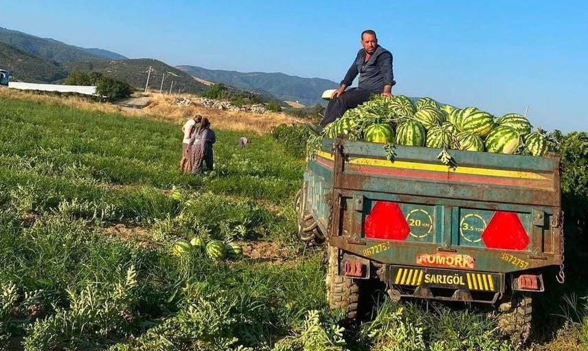 Sarıgöllü çiftçiden doğrudan satış stratejisi