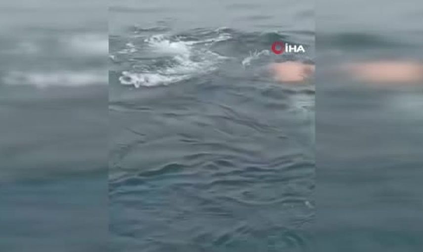 Balinayı kurtaran cesur balıkçı: Hayatım tehlikeye girdi ama yardım etmeliydim