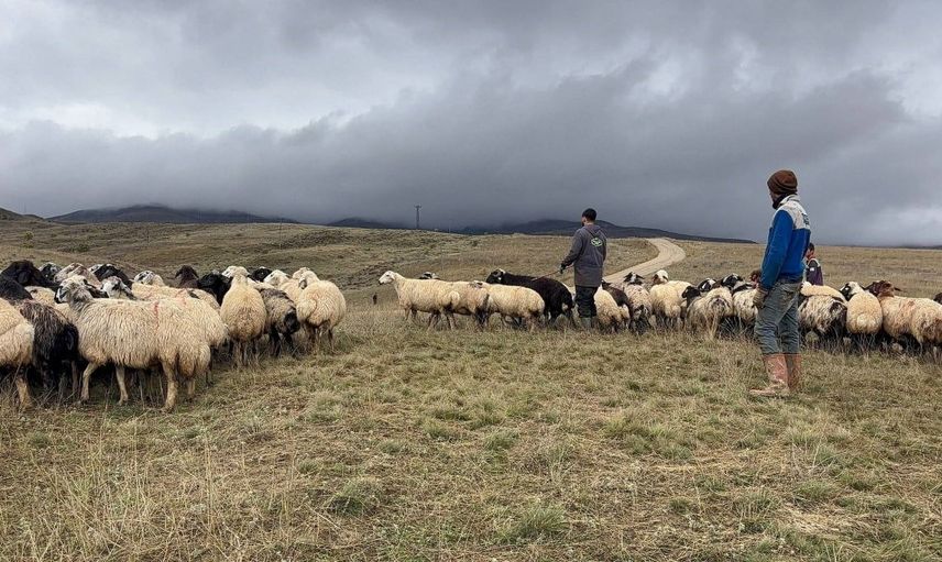 Erzincan’da yayla sezonu sona erdi: Dönüş yolculuğu neşeyle başladı