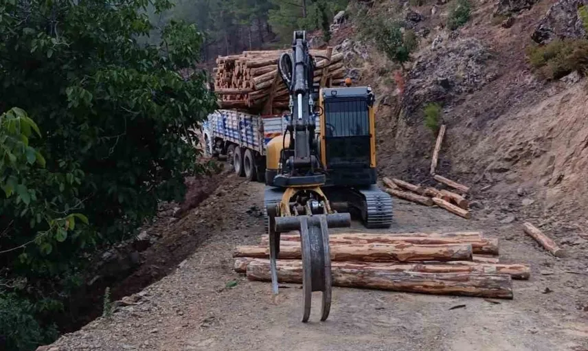 Orman bakımında feci kaza: Bir işçi hayatını kaybetti