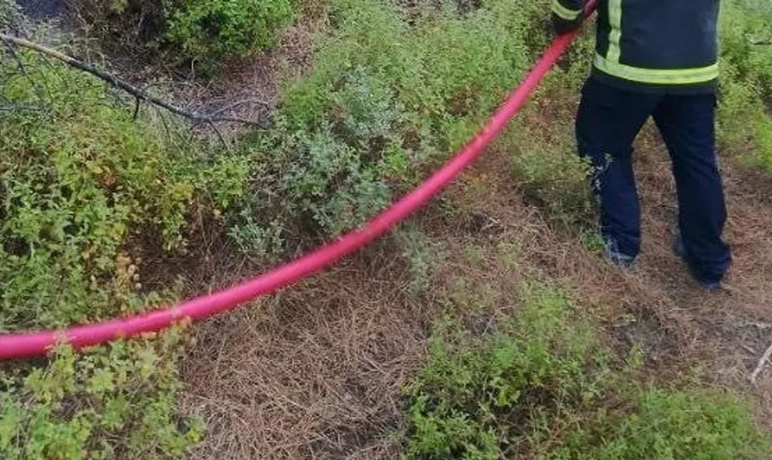 Hassa'daki orman yangınına hızlı müdahale: Alevler kontrol altına alındı