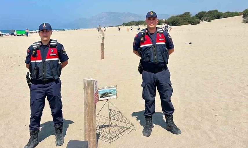 Kaş'ta deniz kaplumbağalarının yuvalama alanları jandarma ile korunuyor
