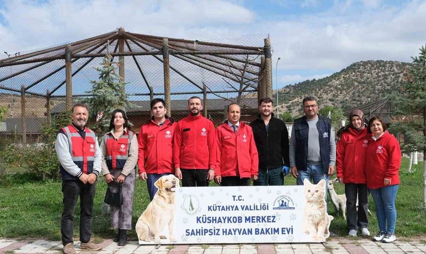 Kütahya'da dünya hayvanları koruma günü etkinliği: Sahipsiz hayvanlara mama yardımı