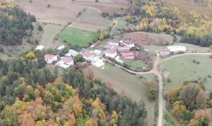 Kastamonu'da inek, yemek borusuna kaçan armut sayesinde kurtuldu