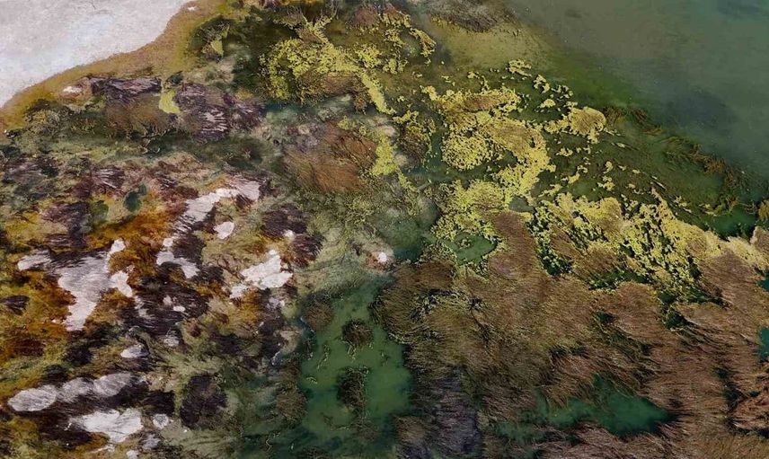 Seyhan Nehri’ndeki çekilme, ortaya çıkan kirlilik vatandaşı endişelendiriyor
