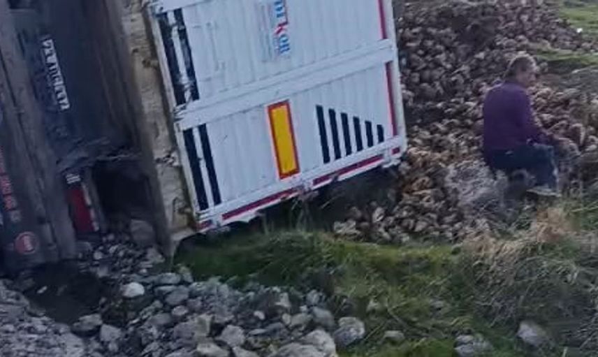 Elazığ'da pancar yüklü tır devrilerek şarampole düştü
