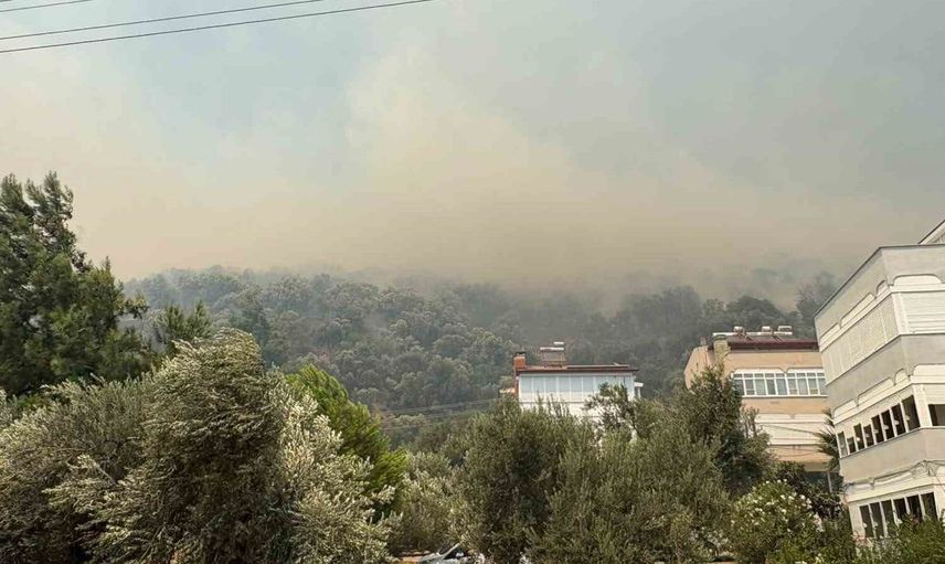 Antandros kazı alanında çıkan yangın yerleşim yerlerini tehdit ediyor