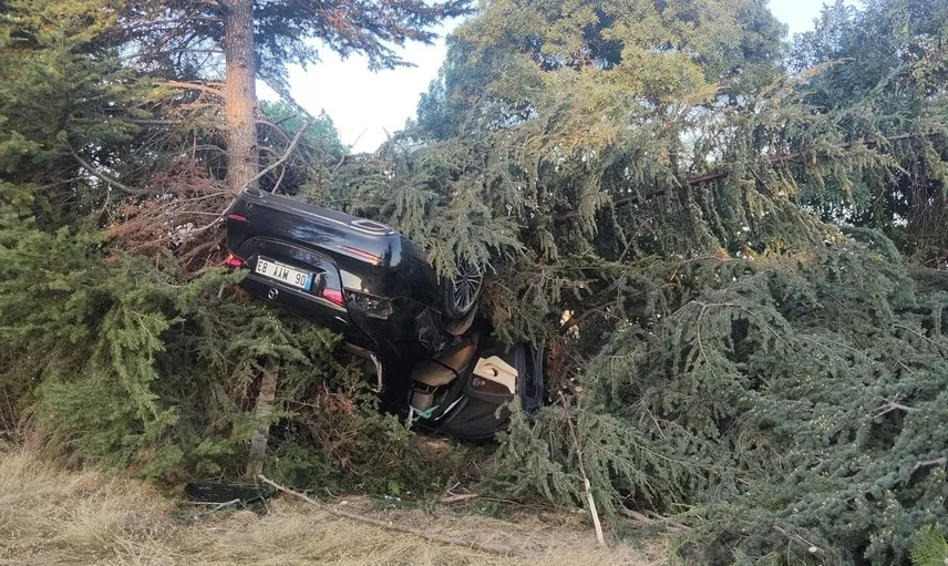 Elazığ'da otomobilin ağaçla çarpması sonucu bir kişi yaralandı
