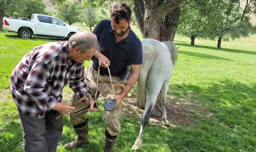 Kemaliye'de geçmişin mirasçısı: 50 yıl boyunca nalbantlık yapan Sinan Günay