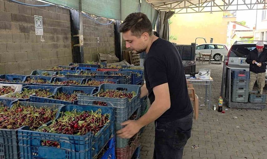 Kütahyalı vişne üreticileri taban fiyat ve fiyat istikrarı talep ediyor