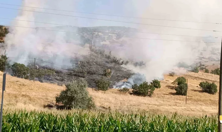 Bingöl'de otluk alanda yangın paniği: Ekipler hızlı müdahale ile önledi