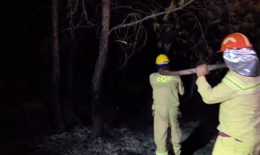 Kaş’taki orman yangını kontrol altına alındı, hasar tespit çalışmaları başladı