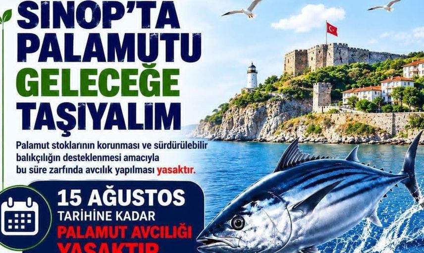 Sinop'ta palamut avına yasak uyarısı