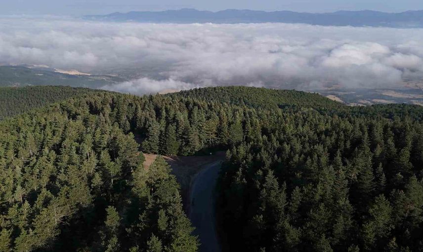 Düvenlik Yaylası'nda bulut denizi eşsiz manzaralar sundu