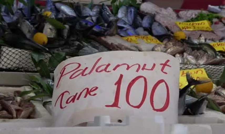 Palamut avında bereket: 600 gramı 100 liradan satılıyor