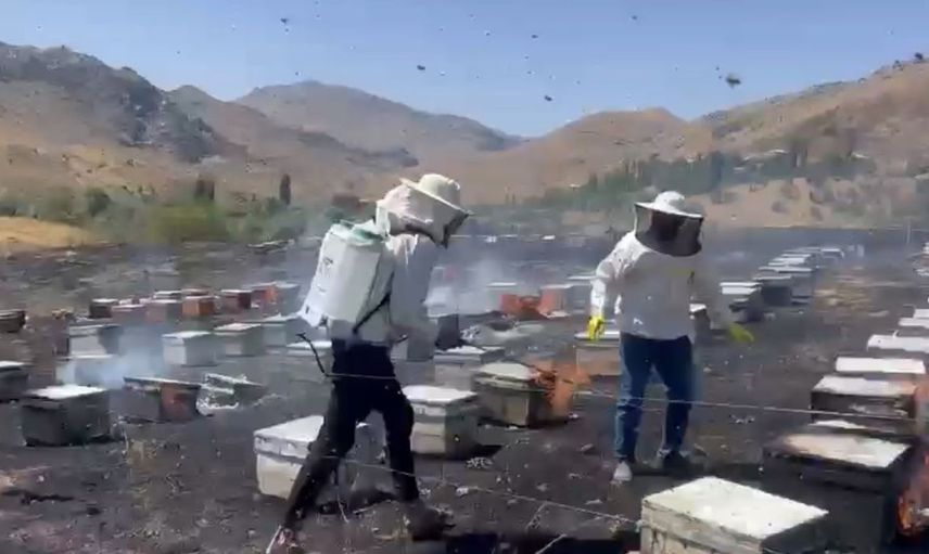 Adıyaman'da çıkan yangın arı kovanlarını yok etti