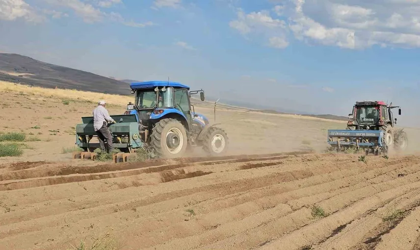 Adilcevaz'da buğday ekimi sezonu başladı