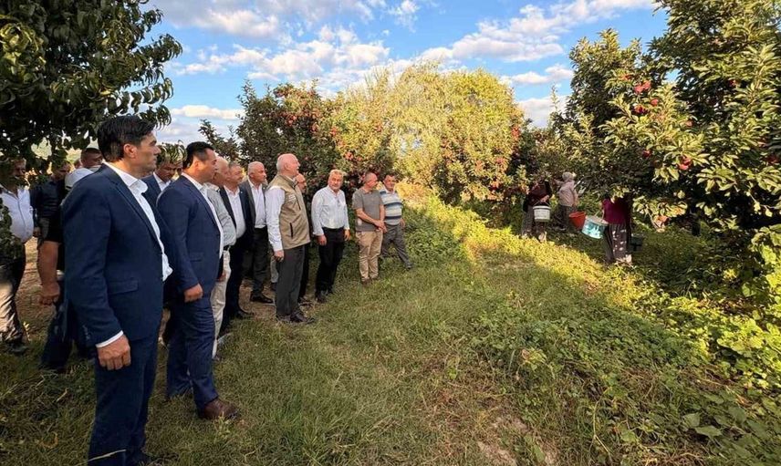 Şemsi Bayraktar, Çivril'de elma hasadına katıldı