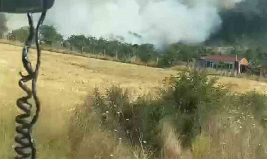 Anız yangını ormanlık alana sıçramadan kontrol altına alındı