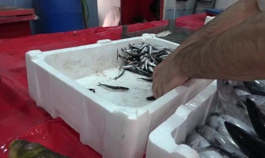 Bingöl'de balık tezgahlarında çeşitlilik arttı