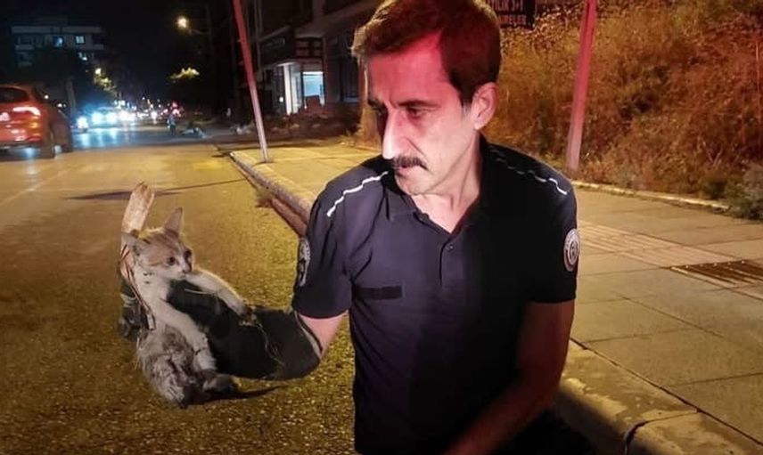 İskenderun'da mahsur kalan hayvanlar itfaiye ekipleri tarafından kurtarıldı