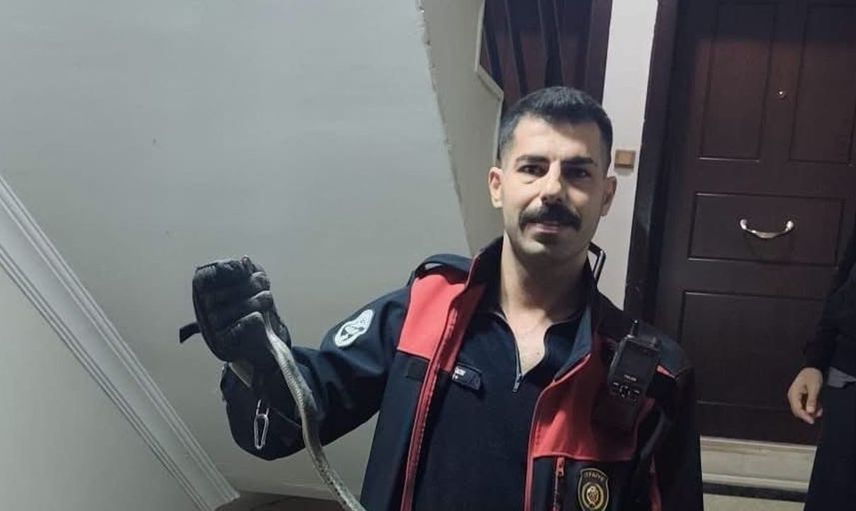 Defne'de yerleşim alanında bulunan yılan doğaya geri salındı