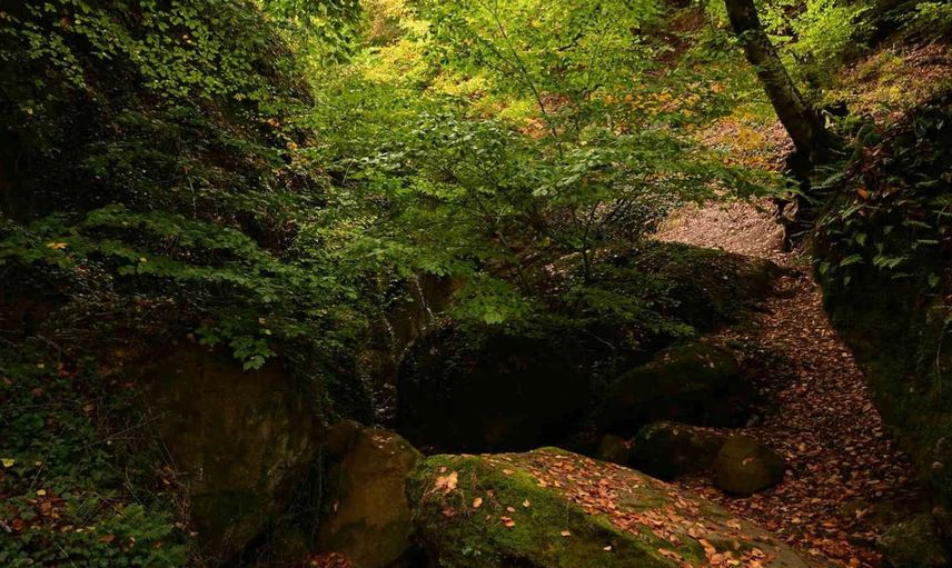 Demirci'de sonbahar manzaraları havadan göz kamaştırıyor