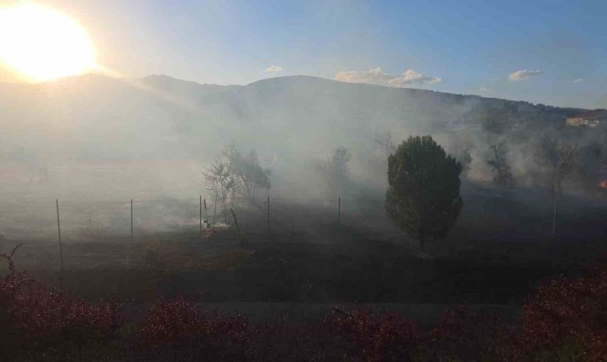 Orhangazi otobanında başlayan yangın ağaçlık alana sıçradı