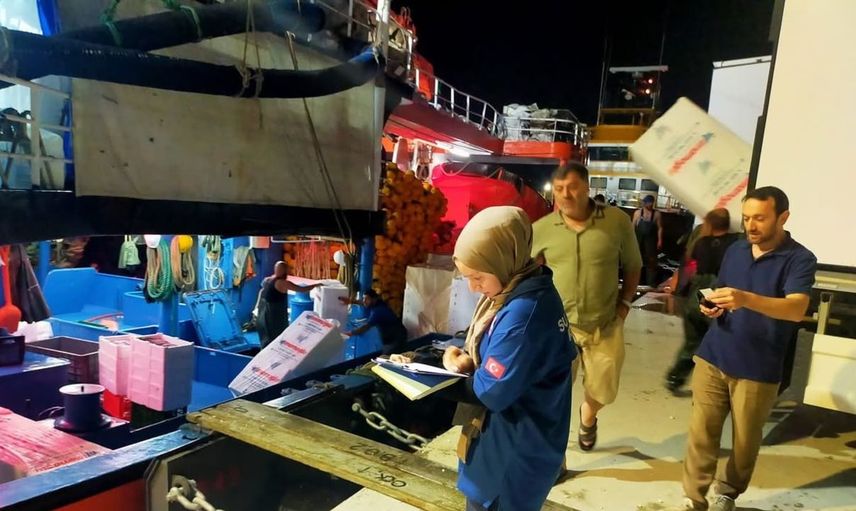 Karadeniz'de av sezonu açıldı: Palamutlar İnebolu Limanı'na ulaştı