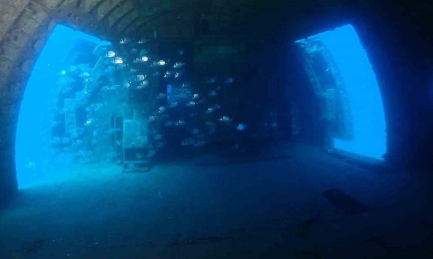 Kuşadası'nın batık uçağı 10 yıl sonra su altı tutkunlarını cezbetmeye devam ediyor