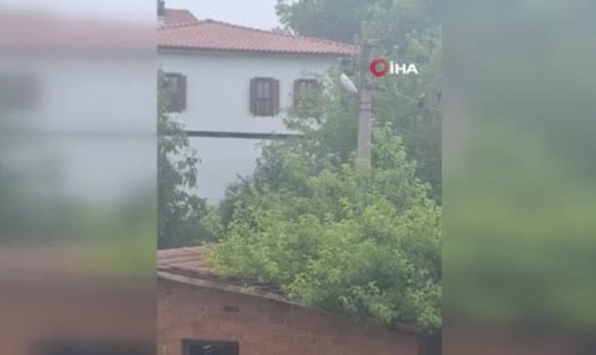 Safranbolu’da karganın ilginç anı: 'Allah' diye seslenmesi kaydedildi
