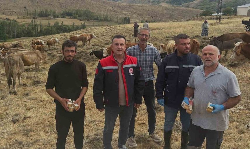 Aydıntepe'de hayvanlar için yonca tüketimi uyarısı yapıldı